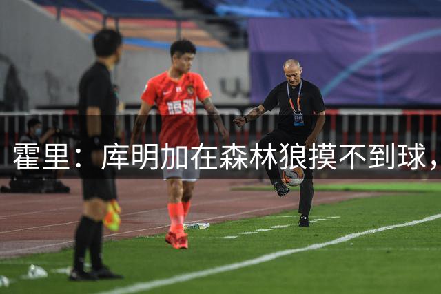 霍里：库明加在森林狼摸不到球，会重演勇士沮丧